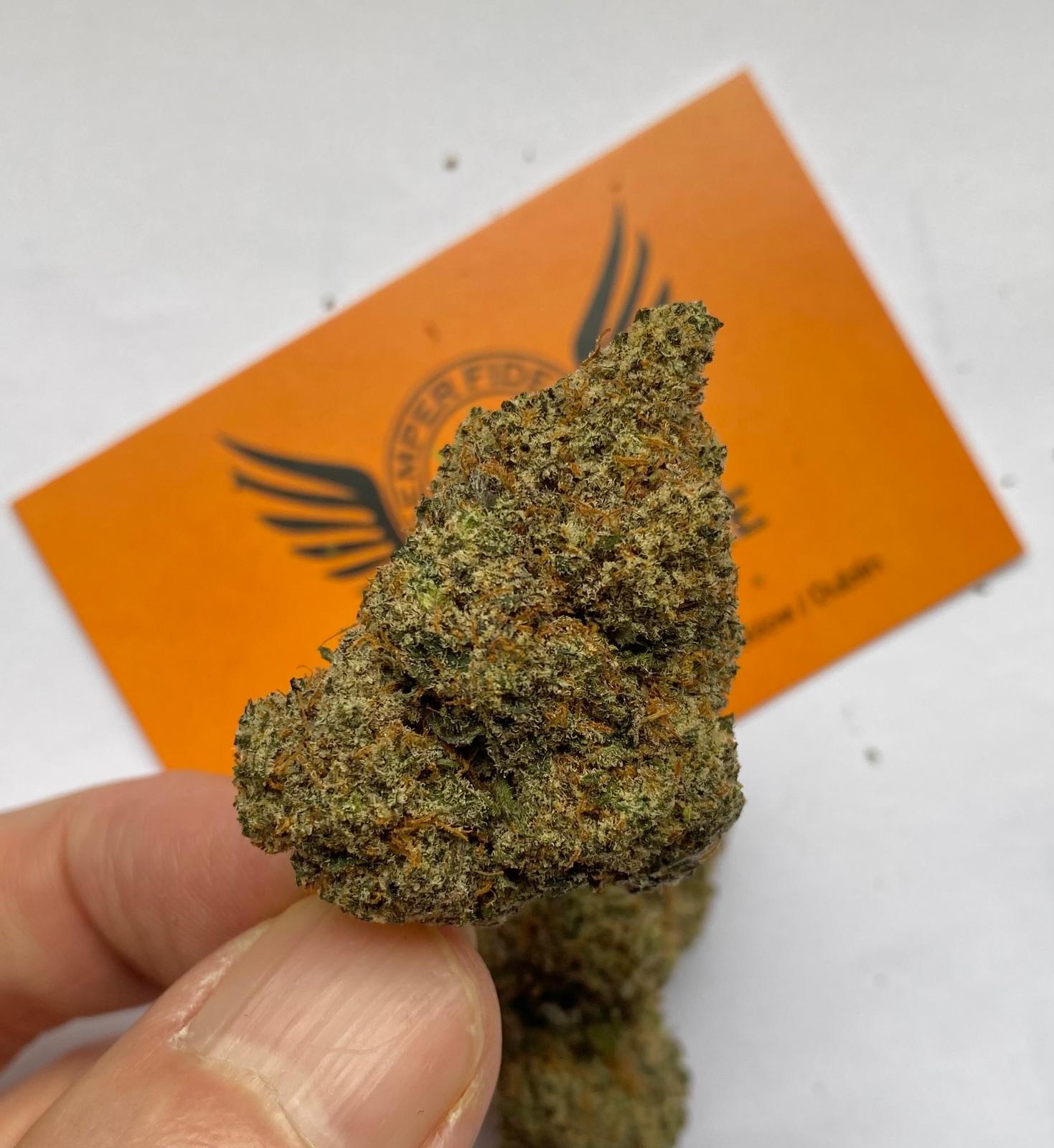 Lemon Butter Cake CBD Indoor flower close-up Lemon Butter Cake CBD Indoor flower close-up